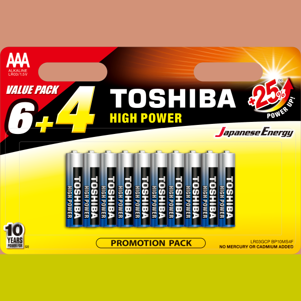 TOSHIBA LR03GCP BP10MS4F (6+4)